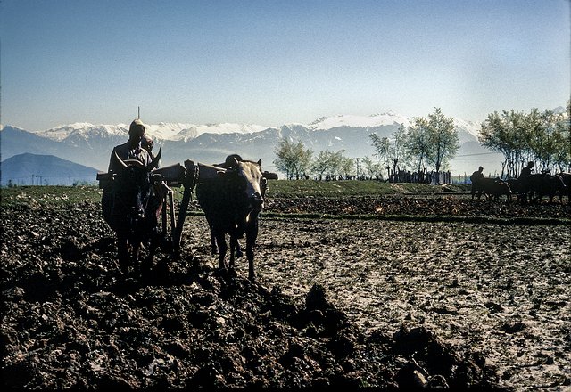 Kash-Vale-Country-Farm-003