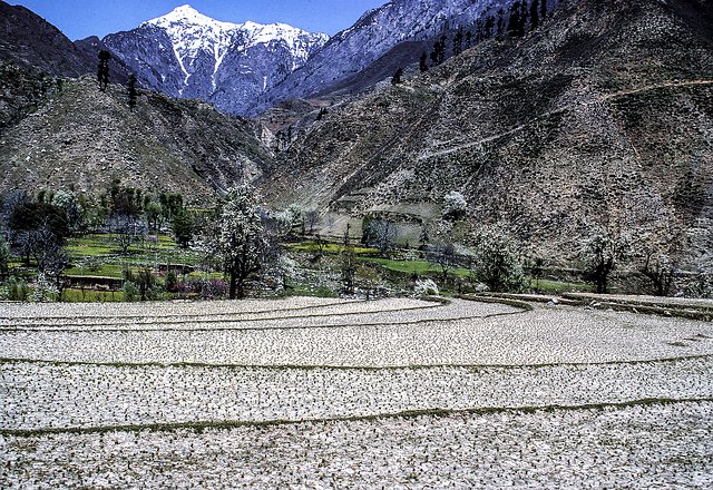 Kash-Vale-Country-Farm-018