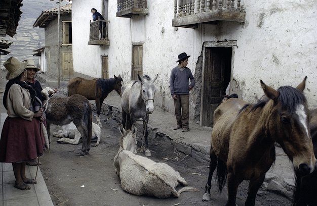 Pallasca