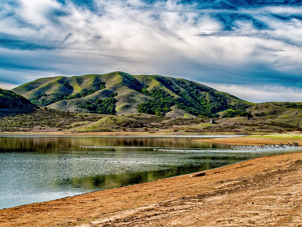 Nicasio