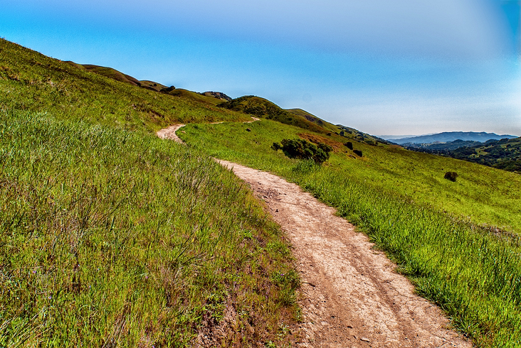Nicasio_005