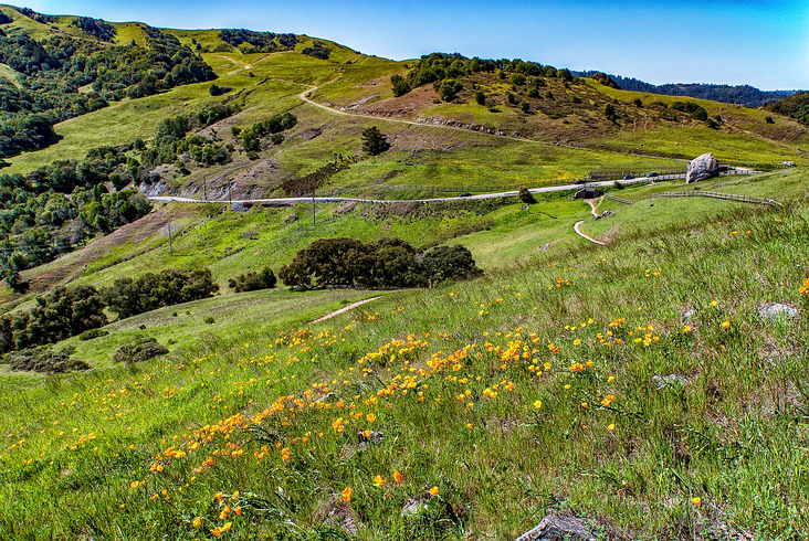 Nicasio_009