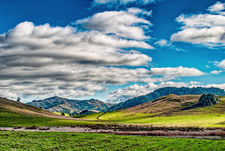 Nicasio_018