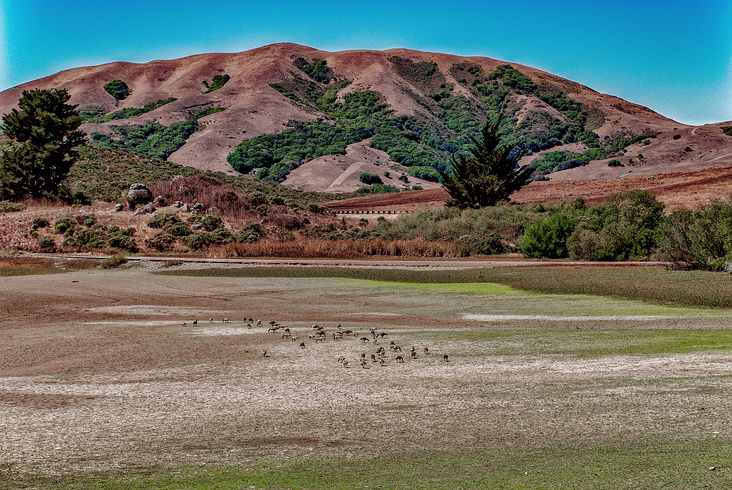 Nicasio_020