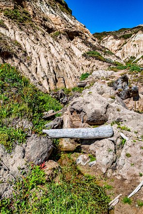 Driftwood_020