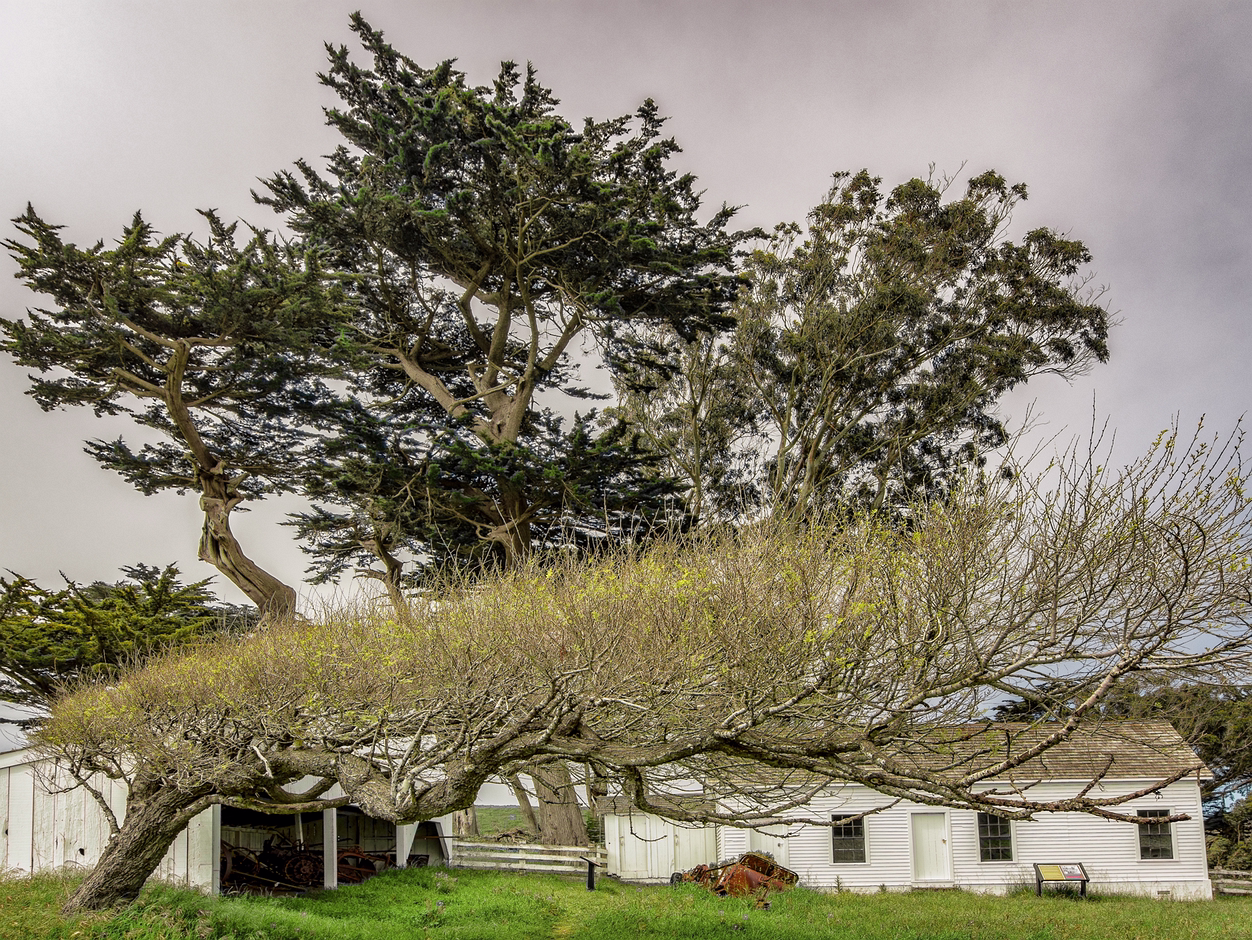 Pierce Ranch