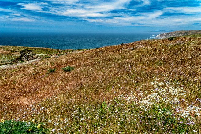 PierceRanch_012
