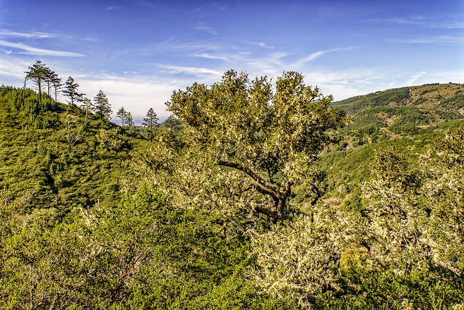 Hills_001