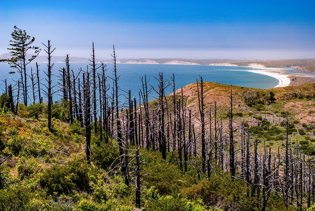 POINT REYES SOUTH