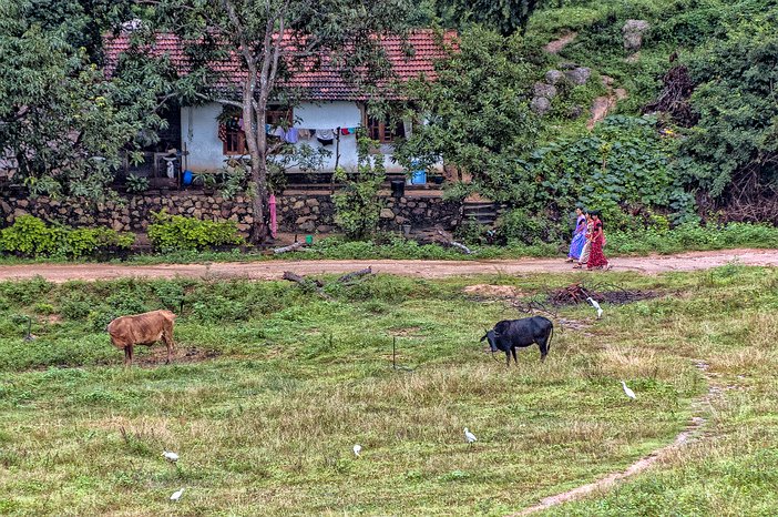 SL_Triangle_Polonnaruwa_008