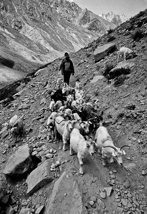 Zan-Up0006 Zanskar